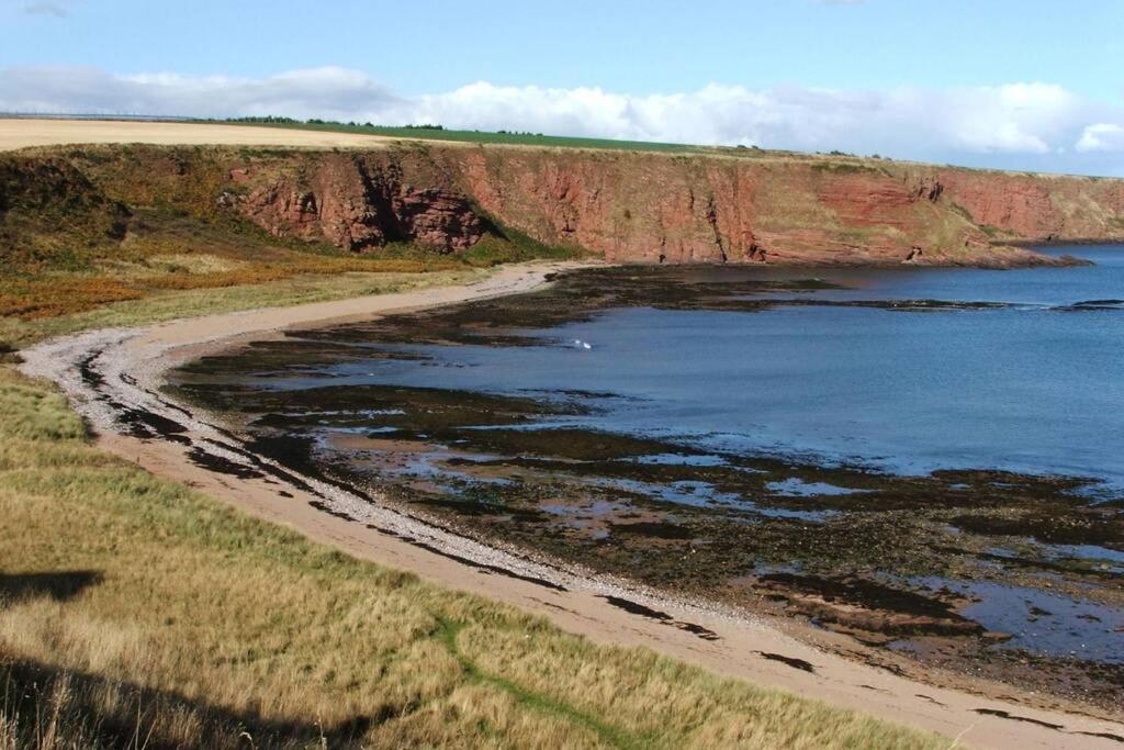 Bell Rock View Arbroath Apartment Angus Exterior photo